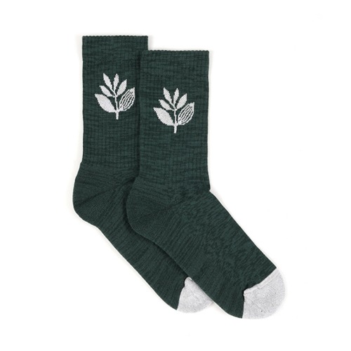 Plant Socks - Green